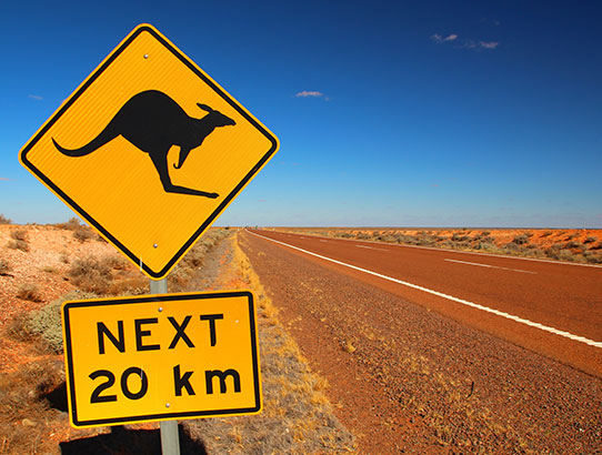 Talk to our specialists